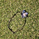 20260531_115400.webp