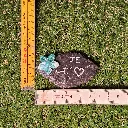 20260531_115030.webp